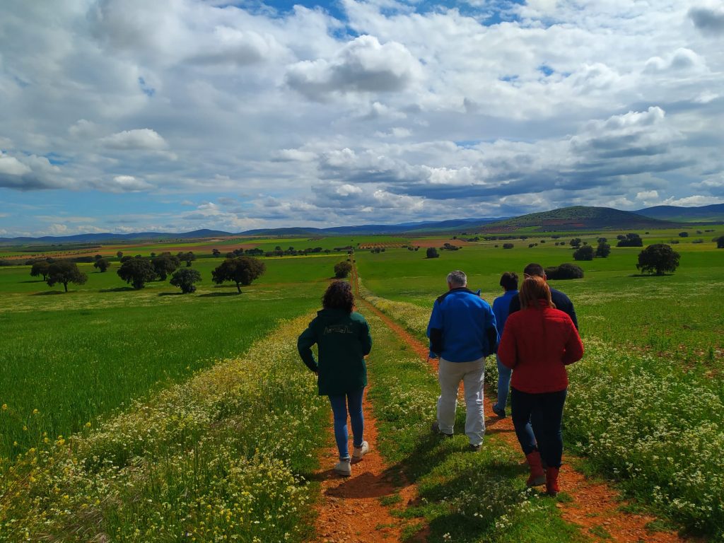 Campos de Montiel