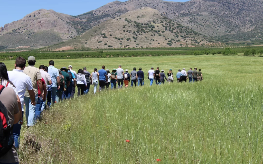 Compartir la experiencia de la agricultura regenerativa en el marco de TransFamers