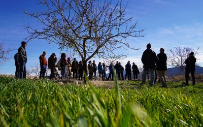 Aland fomenta el intercambio de conocimiento entre proyectos de regeneración