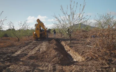 Implementación de Técnicas Biotecnológicas en el Cultivo de Almendro: Nuevos pasos del Proyecto AL-AQUA