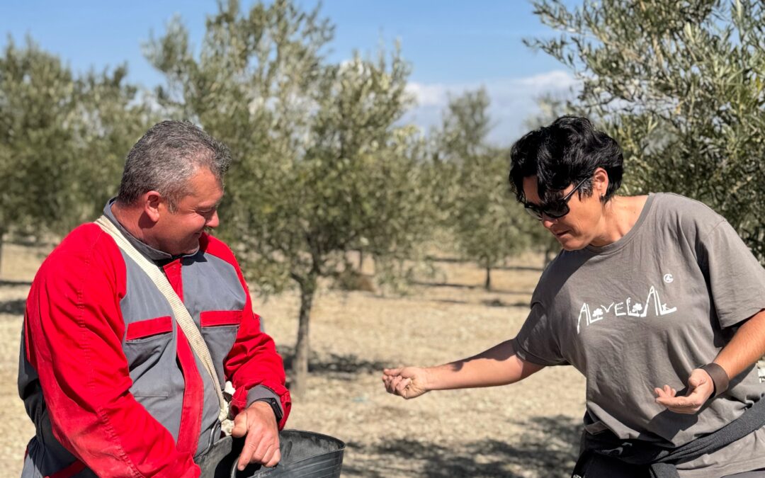 Abonado verde para dar vida al suelo gracias al proyecto Bioresilmed de la Fundación Biodiversidad