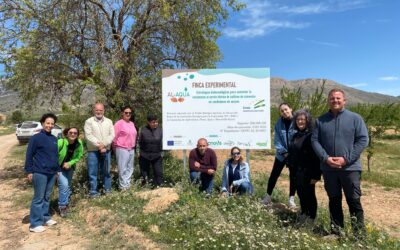 El apagón no frena a AL-AQUA que celebra una jornada de campo para presentar los primeros resultados del proyecto en el cultivo de almendro