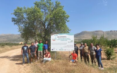 El Grupo Operativo AL-AQUA presenta en Chirivel los resultados de dos años de innovación para la resiliencia del almendro en secano